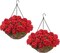 Artificial Hanging Flowers with Baskets, 2 Sets – 16 Red Fake Geraniums for Outdoor Porch, Garden, Balcony, Yard & Patio Decoration